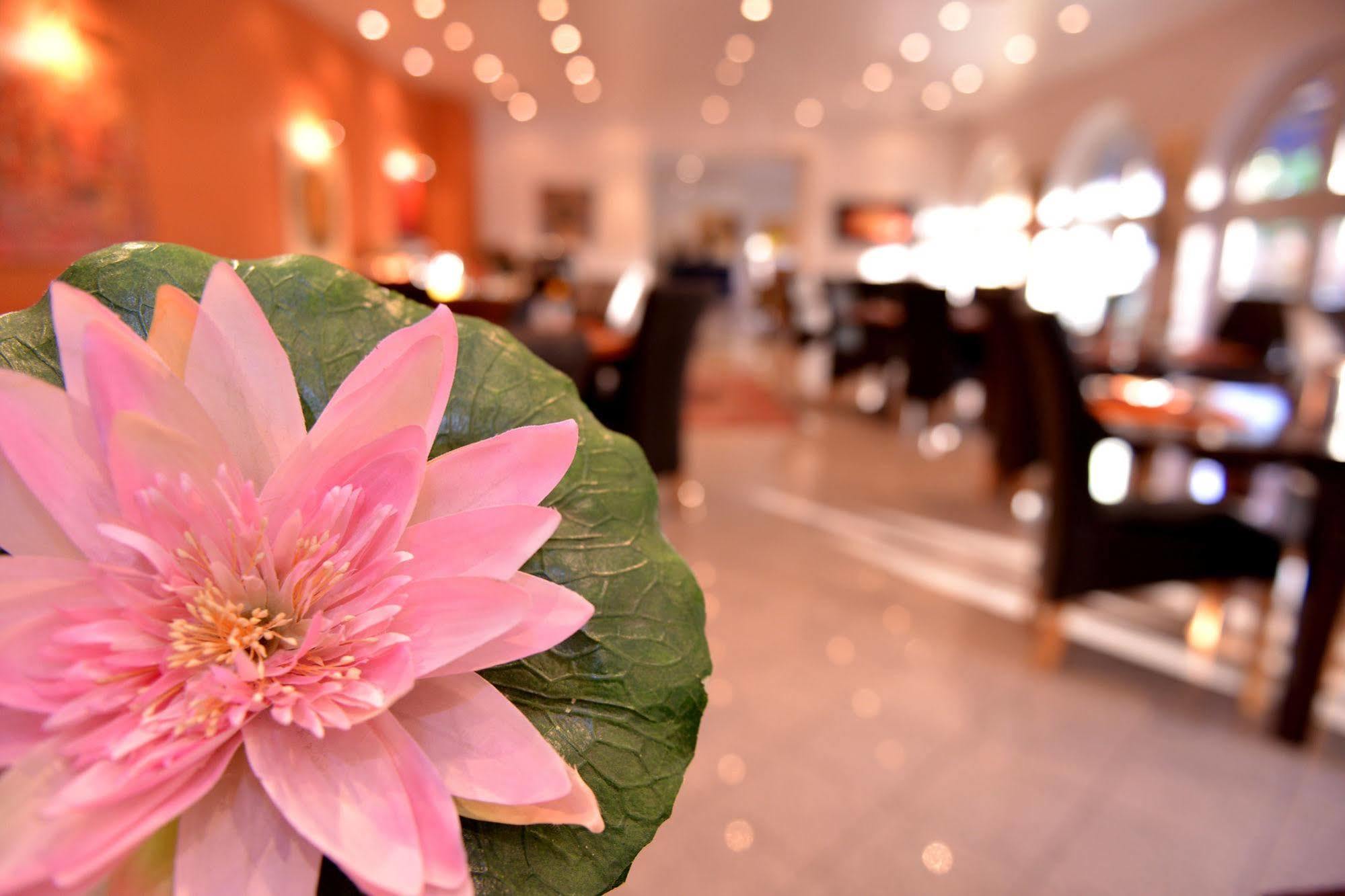 Alpha Hotel Garni Dietzenbach Eksteriør billede